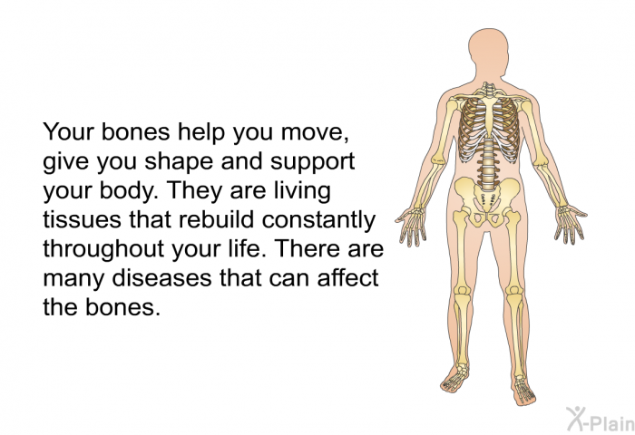 Your bones help you move, give you shape and support your body. They are living tissues that rebuild constantly throughout your life. There are many diseases that can affect the bones.