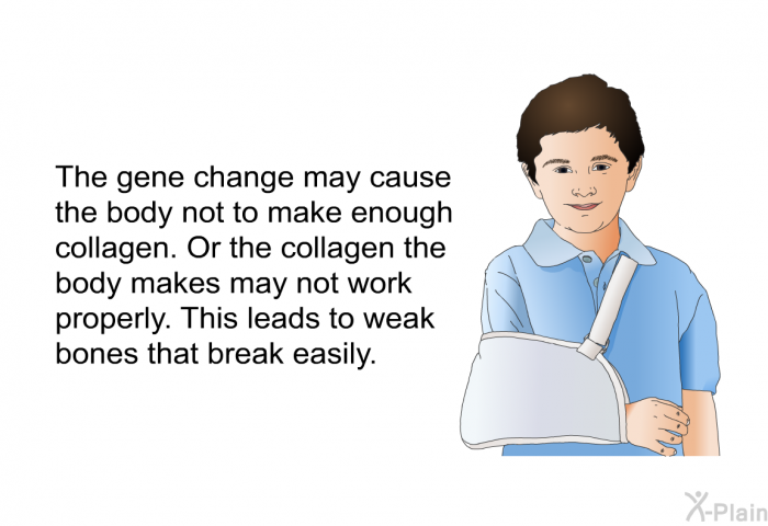 The gene change may cause the body not to make enough collagen. Or the collagen the body makes may not work properly. This leads to weak bones that break easily.