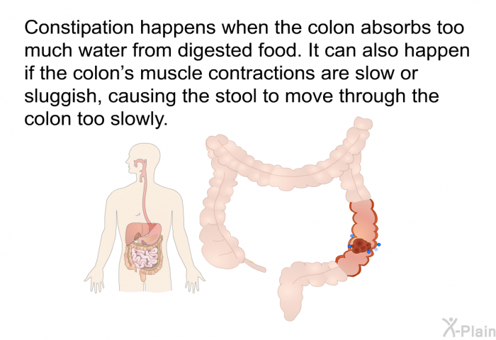 Constipation happens when the colon absorbs too much water from digested food. It can also happen if the colon's muscle contractions are slow or sluggish, causing the stool to move through the colon too slowly.