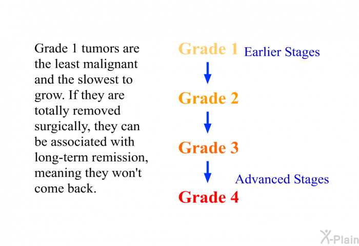 Grade 1 tumors are the least malignant and the slowest to grow. If they are totally removed surgically, they can be associated with long-term remission, meaning they won't come back.
