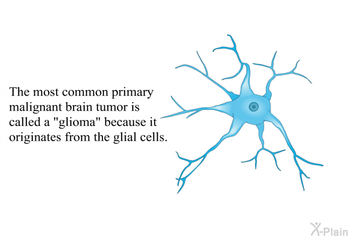 The most common primary malignant brain tumor is called a "glioma" because it originates from the glial cells.
