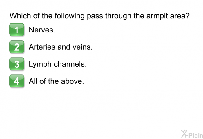 Which of the following pass through the armpit area?  Nerves. Arteries and veins. Lymph channels. All of the above.