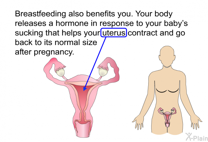 Breastfeeding also benefits you. Your body releases a hormone in response to your baby's sucking that helps your uterus contract and go back to its normal size after pregnancy.