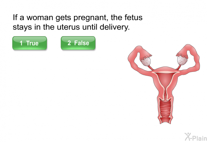 If a woman gets pregnant, the fetus stays in the uterus until delivery.