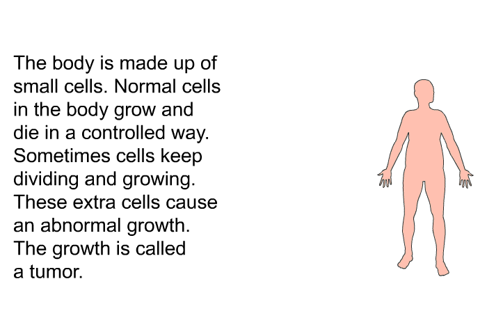 The body is made up of small cells. Normal cells in the body grow and die in a controlled way. Sometimes cells keep dividing and growing. These extra cells cause an abnormal growth. The growth is called a tumor.