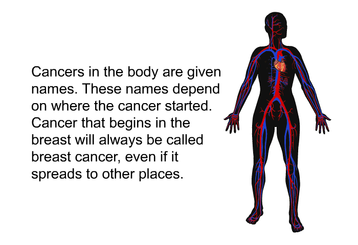 Cancers in the body are given names. These names depend on where the cancer started. Cancer that begins in the breast will always be called breast cancer, even if it spreads to other places.