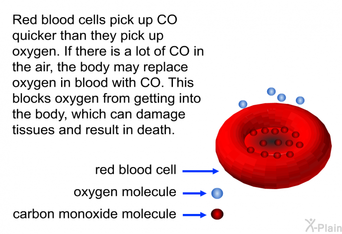 Red blood cells pick up CO quicker than they pick up oxygen. If there is a lot of CO in the air, the body may replace oxygen in blood with CO. This blocks oxygen from getting into the body, which can damage tissues and result in death.