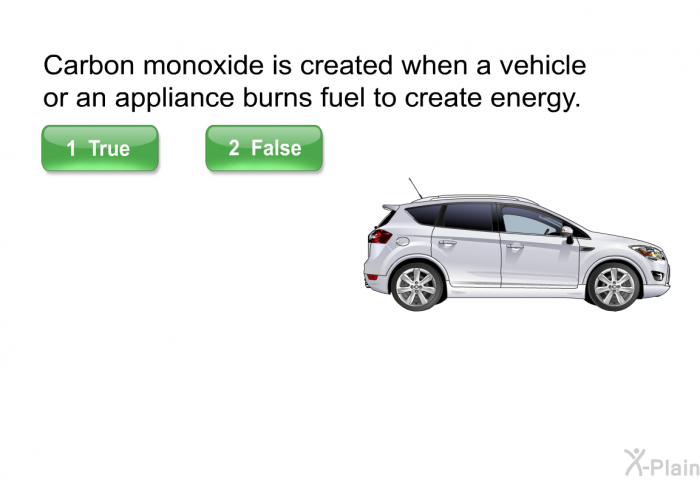 Carbon monoxide is created when a vehicle or an appliance burns fuel to create energy. Select True or False.