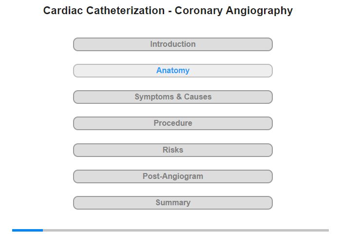 Anatomy