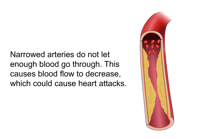 Narrowed arteries do not let enough blood go through. This causes blood flow to decrease, which could cause heart attacks.