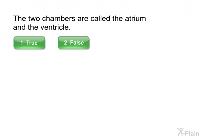 The two chambers are called the atrium and the ventricle.
