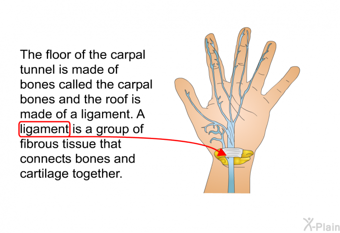 The floor of the carpal tunnel is made of bones called the carpal bones and the roof is made of a ligament. A ligament is a group of fibrous tissue that connects bones and cartilage together.