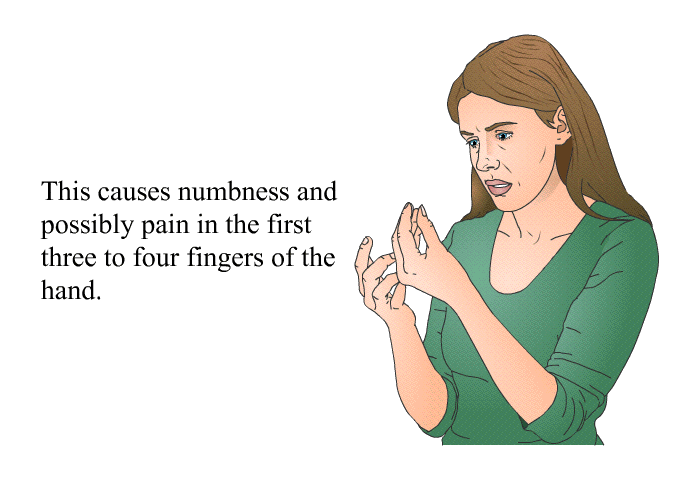 This causes numbness and possibly pain in the first three to four fingers of the hand.