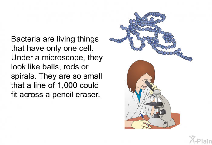 Bacteria are living things that have only one cell. Under a microscope, they look like balls, rods or spirals. They are so small that a line of 1,000 could fit across a pencil eraser.
