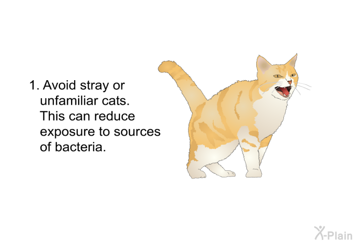 Avoid stray or unfamiliar cats. This can reduce exposure to sources of bacteria.