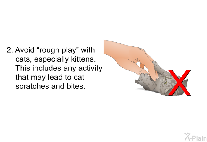 Avoid “rough play” with cats, especially kittens. This includes any activity that may lead to cat scratches and bites.