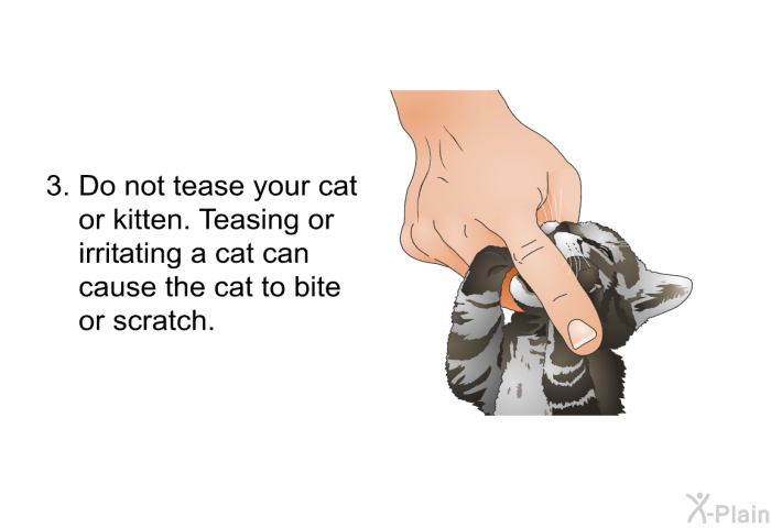 Do not tease your cat or kitten. Teasing or irritating a cat can cause the cat to bite or scratch.