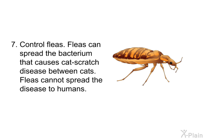 Control fleas. Fleas can spread the bacterium that causes cat-scratch disease between cats. Fleas cannot spread the disease to humans.