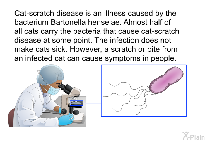 Cat-scratch disease is an illness caused by the bacterium <I>Bartonella henselae</I>. Almost half of all cats carry the bacteria that cause cat-scratch disease at some point. The infection does not make cats sick. However, a scratch or bite from an infected cat can cause symptoms in people.
