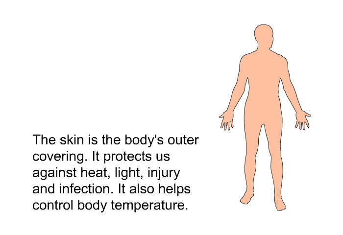 The skin is the body's outer covering. It protects us against heat, light, injury and infection. It also helps control body temperature.