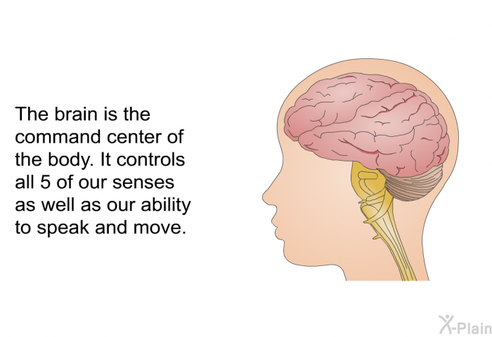 The brain is the command center of the body. It controls all 5 of our senses as well as our ability to speak and move.
