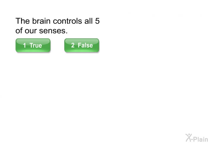 The brain controls all 5 of our senses.
