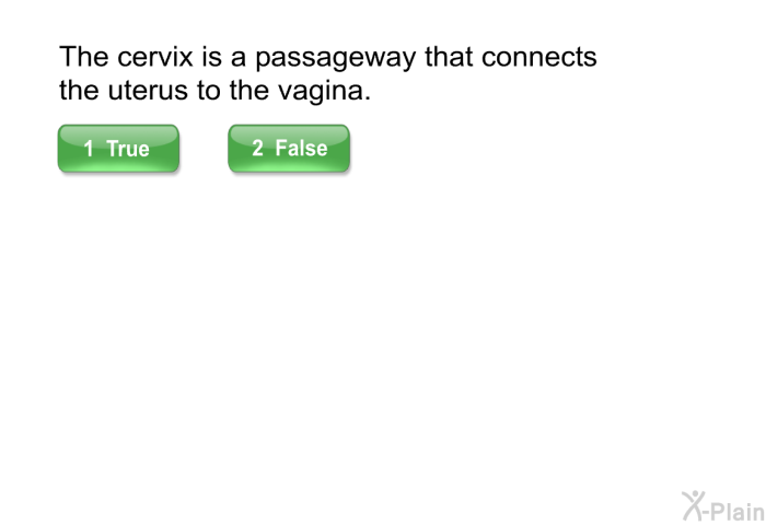 The cervix is a passageway that connects the uterus to the vagina.