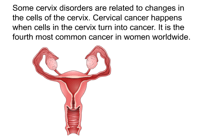 Some cervix disorders are related to changes in the cells of the cervix. Cervical cancer happens when cells in the cervix turn into cancer. It is the fourth most common cancer in women worldwide.