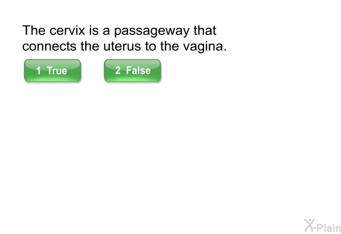 The cervix is a passageway that connects the uterus to the vagina.