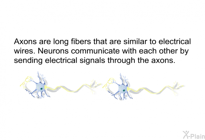 Axons are long fibers that are similar to electrical wires. Neurons communicate with each other by sending electrical signals through the axons.