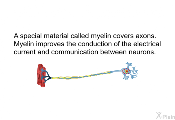 A special material called myelin covers axons. Myelin improves the conduction of the electrical current and communication between neurons.
