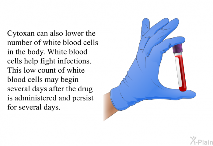 Cytoxan can also lower the number of white blood cells in the body. White blood cells help fight infections. This low count of white blood cells may begin several days after the drug is administered and persist for several days.
