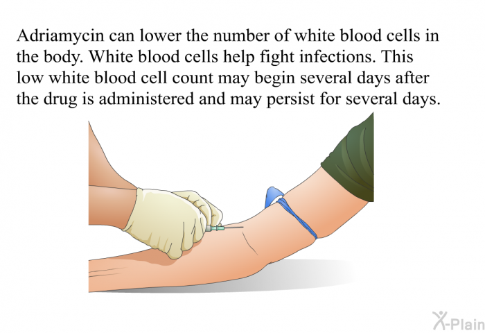 Adriamycin can lower the number of white blood cells in the body. White blood cells help fight infections. This low white blood cell count may begin several days after the drug is administered and may persist for several days.