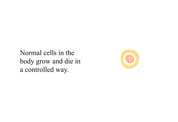 Normal cells in the body grow and die in a controlled way.