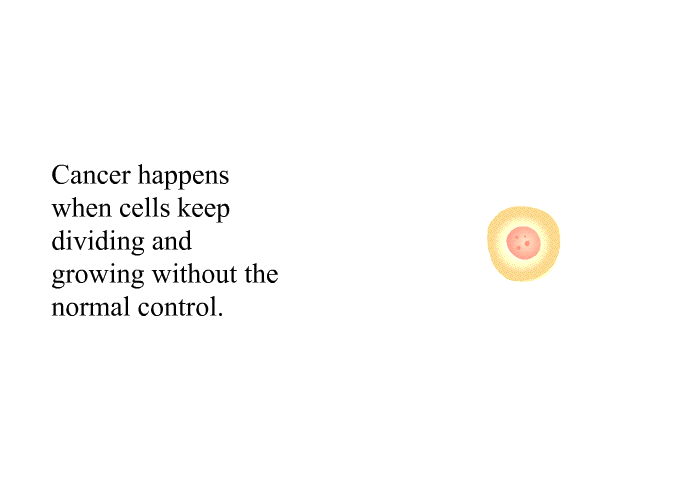 Cancer happens when cells keep dividing and growing without the normal control.