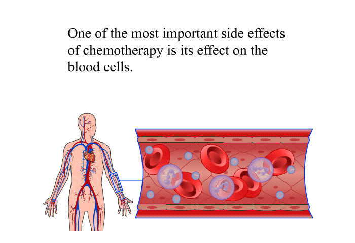 One of the most important side effects of chemotherapy is its effect on the blood cells.