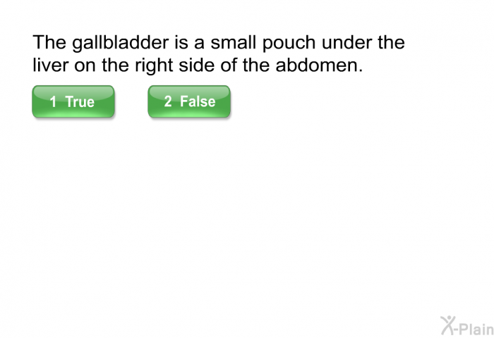The gallbladder is a small pouch under the liver on the right side of the abdomen.