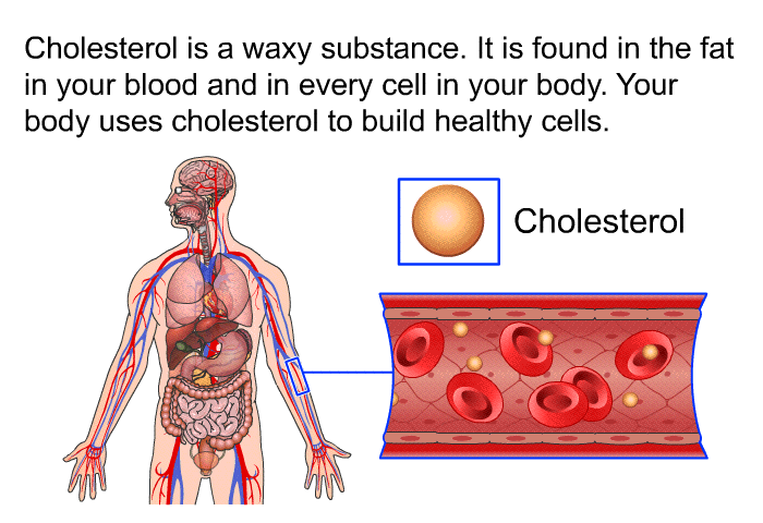 Cholesterol is a waxy substance. It is found in the fat in your blood and in every cell in your body. Your body uses cholesterol to build healthy cells.
