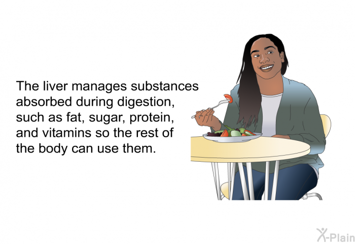 The liver manages substances absorbed during digestion, such as fat, sugar, protein, and vitamins so the rest of the body can use them.