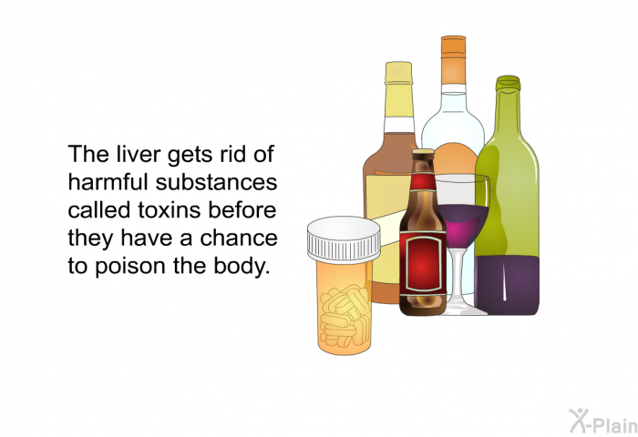 The liver gets rid of harmful substances called toxins before they have a chance to poison the body.