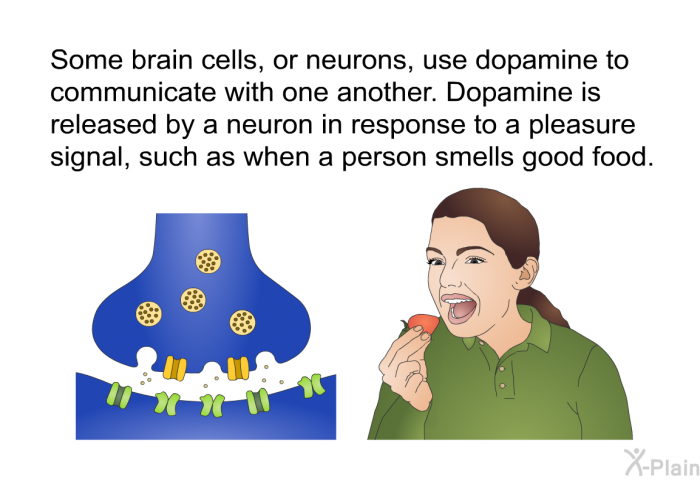 Some brain cells, or neurons, use dopamine to communicate with one another. Dopamine is released by a neuron in response to a pleasure signal, such as when a person smells good food.