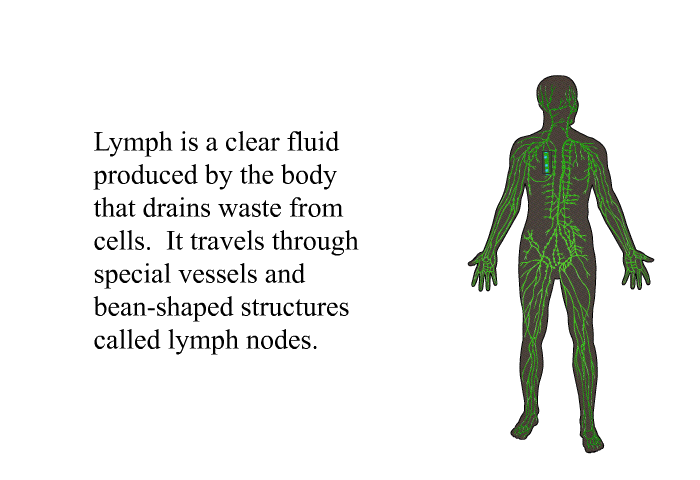 Lymph is a clear fluid produced by the body that drains waste from cells. It travels through special vessels and bean-shaped structures called lymph nodes.