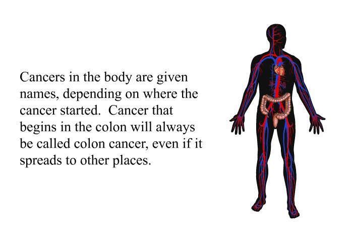 Cancers in the body are given names, depending on where the cancer started. Cancer that begins in the colon will always be called colon cancer, even if it spreads to other places.