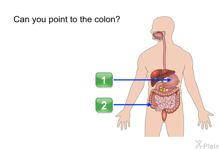 Can you point to the colon?