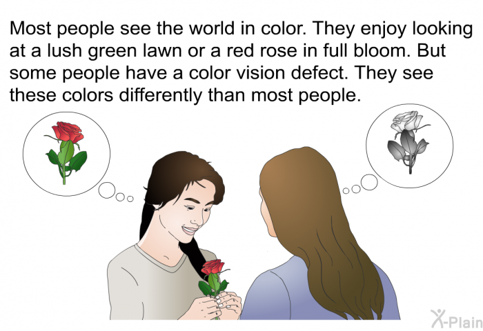 Most people see the world in color. They enjoy looking at a lush green lawn or a red rose in full bloom. But some people have a color vision defect. They see these colors differently than most people.