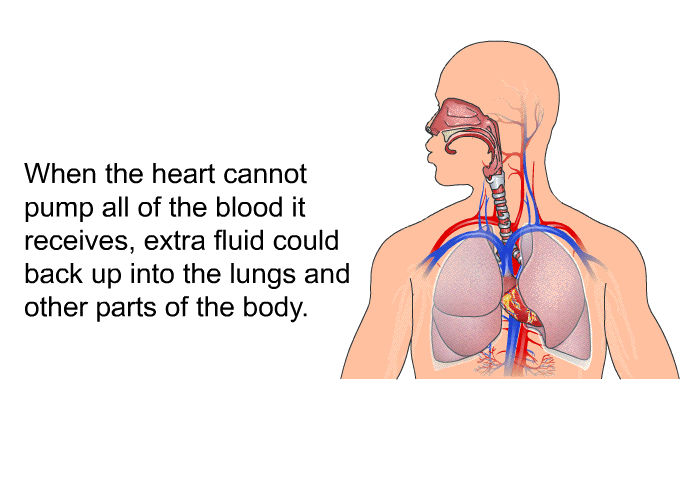 When the heart cannot pump all of the blood it receives, extra fluid could back up into the lungs and other parts of the body.