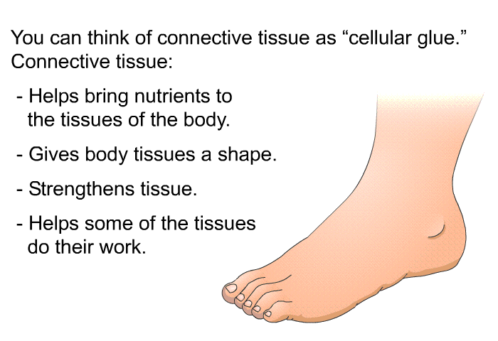 You can think of connective tissue as 