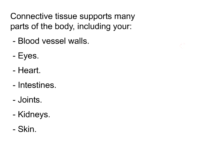 Connective tissue supports many parts of the body, including your:  Blood vessel walls. Eyes. Heart. Intestines. Joints. Kidneys. Skin.