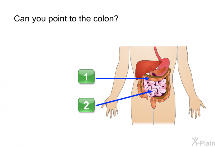 Can you point to the colon?