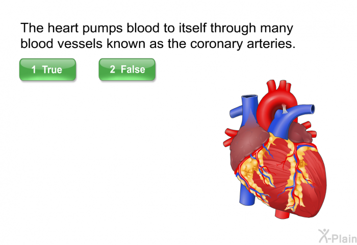 The heart pumps blood to itself through many blood vessels known as the coronary arteries.